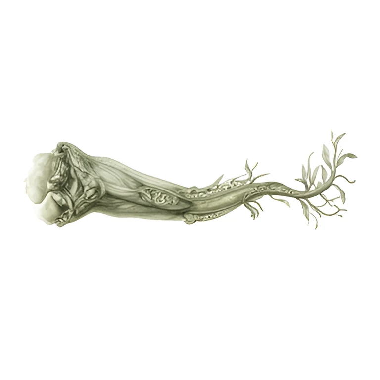 Ecotones of the Mind, its tentacle