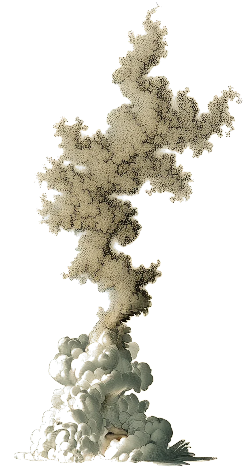 Pareidolia in fractal patterns, the whole specimen