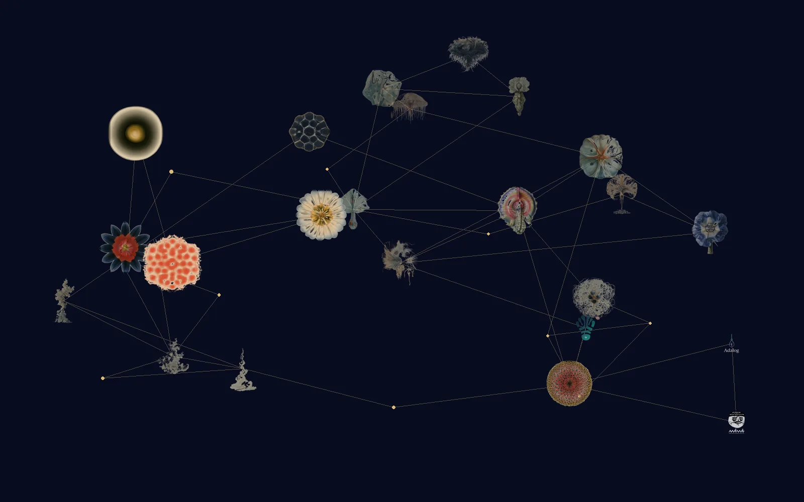 The latent cabinet, every work floating in the dark, joined by threads of light.