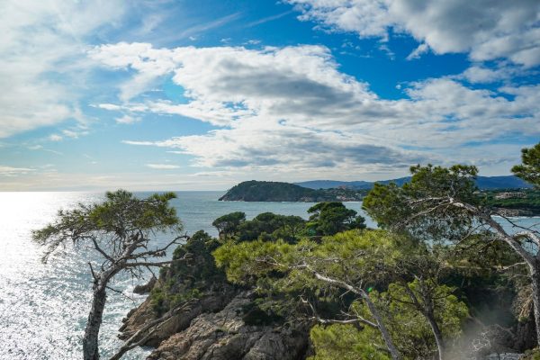 Les métronomes silencieux